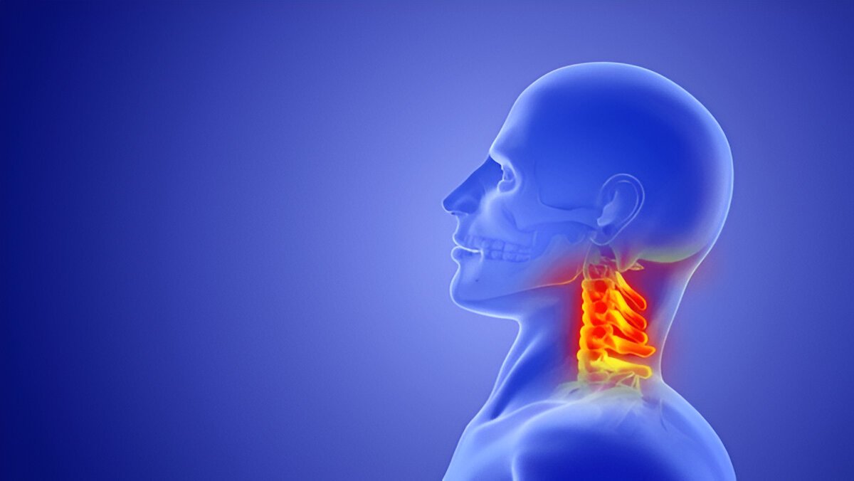 3D illustration of cervical spine highlighted in red indicating neck pain or injury