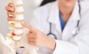 Doctor pointing at spinal model, explaining vertebrae and disc structure for medical consultation.