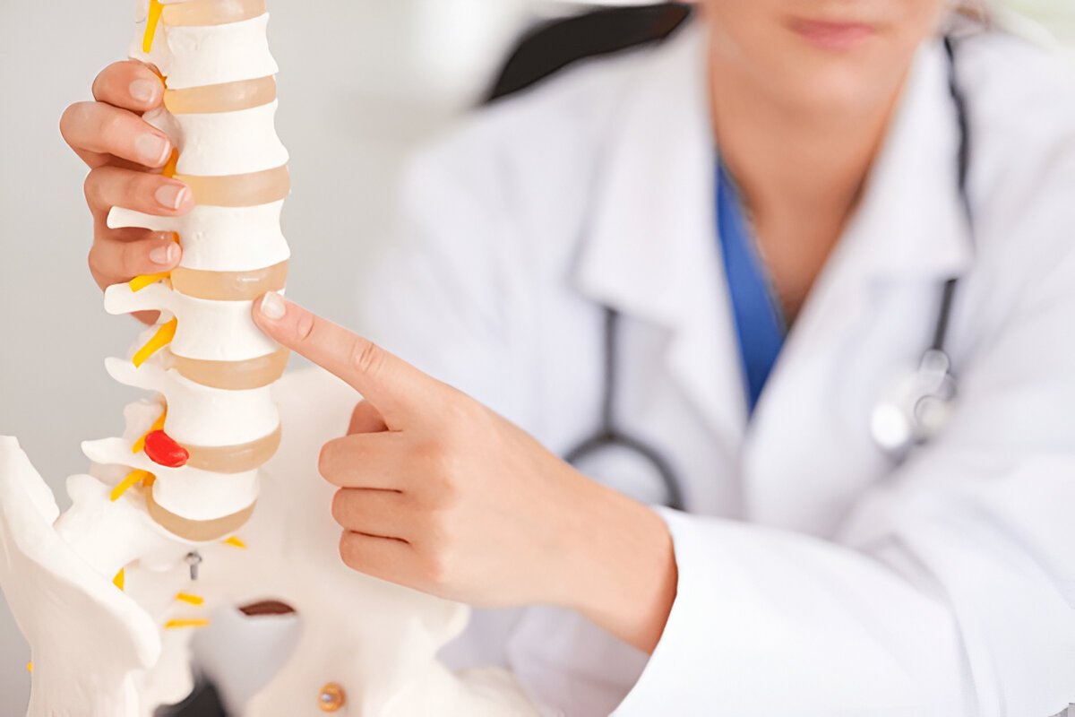 Doctor pointing at spinal model, explaining vertebrae and disc structure for medical consultation.
