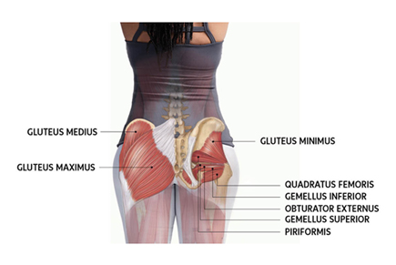 Switching on your Gluteals