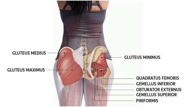 Switching on your Gluteals