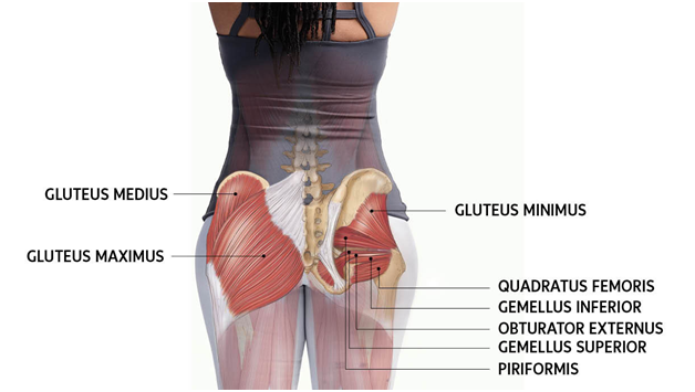 The Snowball Effect of a Weak Gluteus Medius