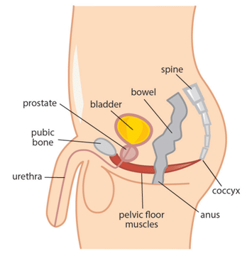 Underactive bladder