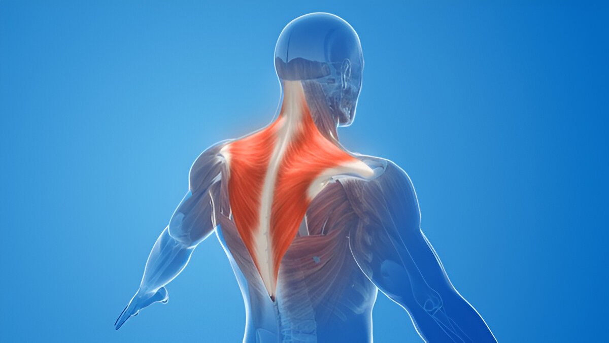 Neck Pain With Physiotherapy Treatment