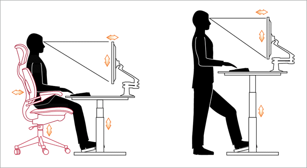 Postural/Ergonomic Assessment